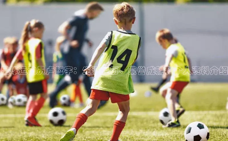 欧陆app登录百度手机卫士足球运动员卢哲宇：生涯经历、荣誉成就和个人资料介绍