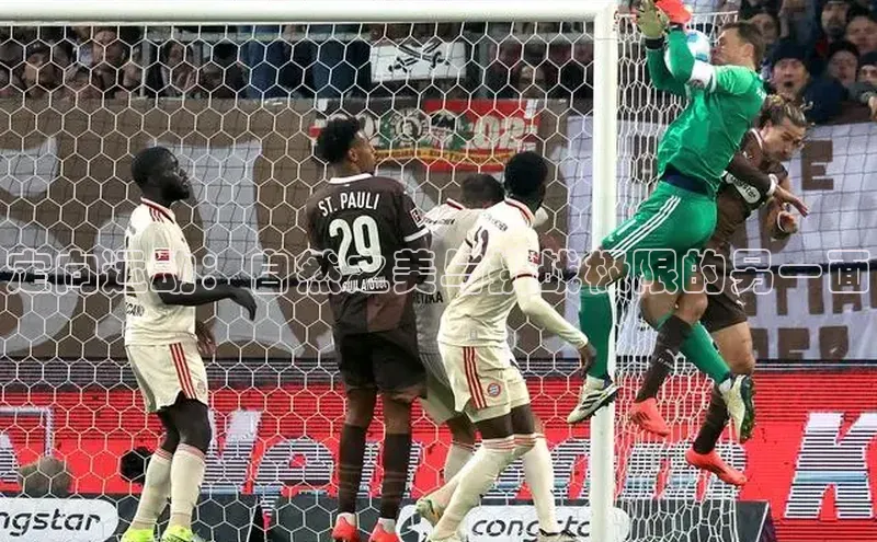 欧陆娱乐app下载宣亚国际定向运动：自然之美与挑战极限的另一面