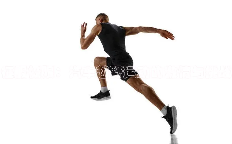 征服极限：汽车越野运动的激情与挑战