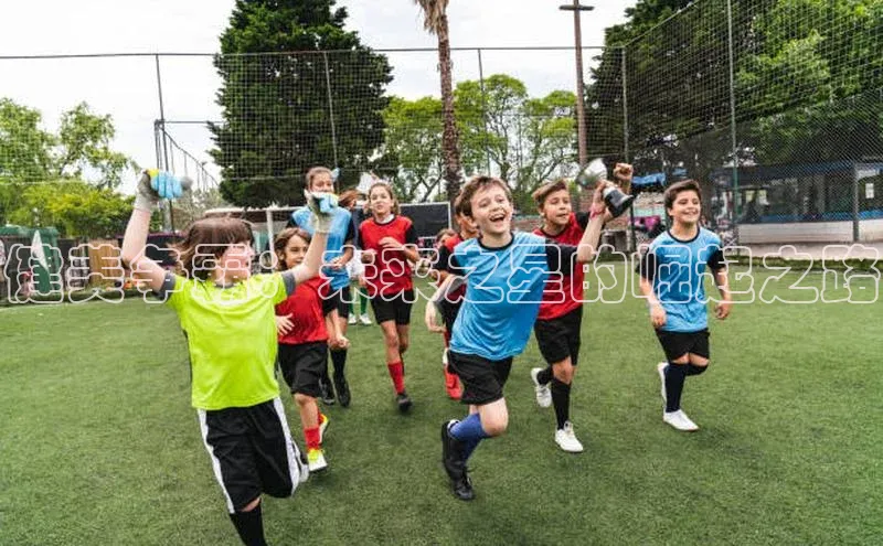 健美争霸：未来之星的崛起之路