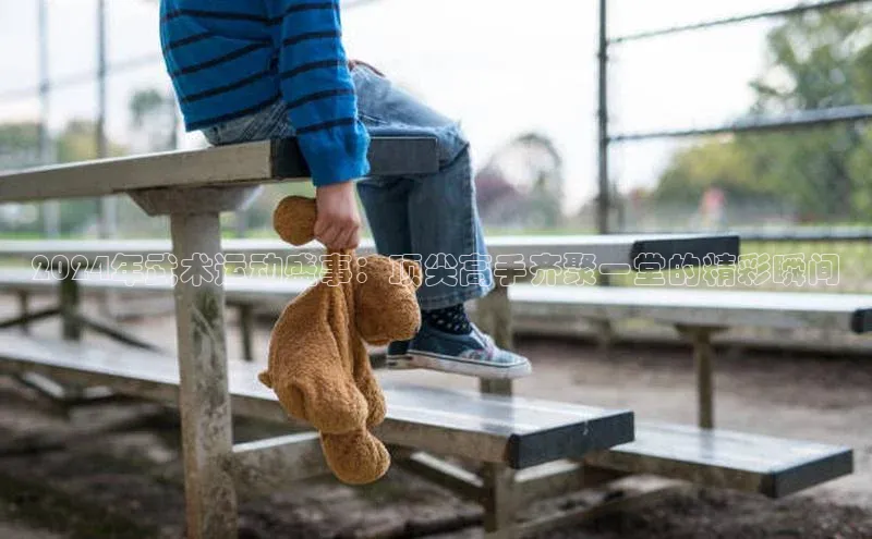 2024年武术运动盛事：顶尖高手齐聚一堂的精彩瞬间