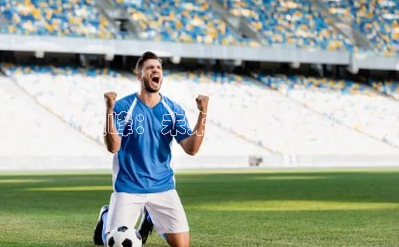 健康新巅峰：未来运动科技挑战赛