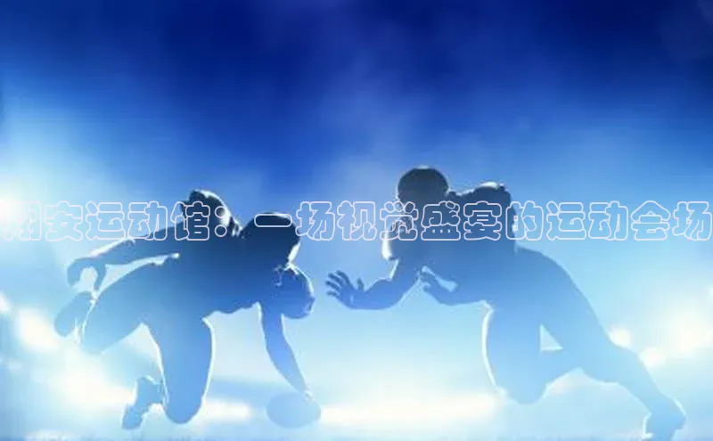 翔安运动馆：一场视觉盛宴的运动会场