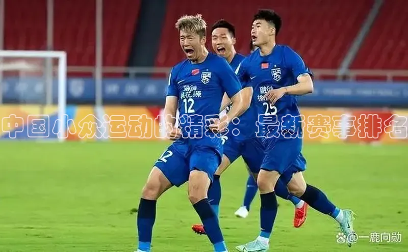 中国小众运动的精彩：最新赛事排名