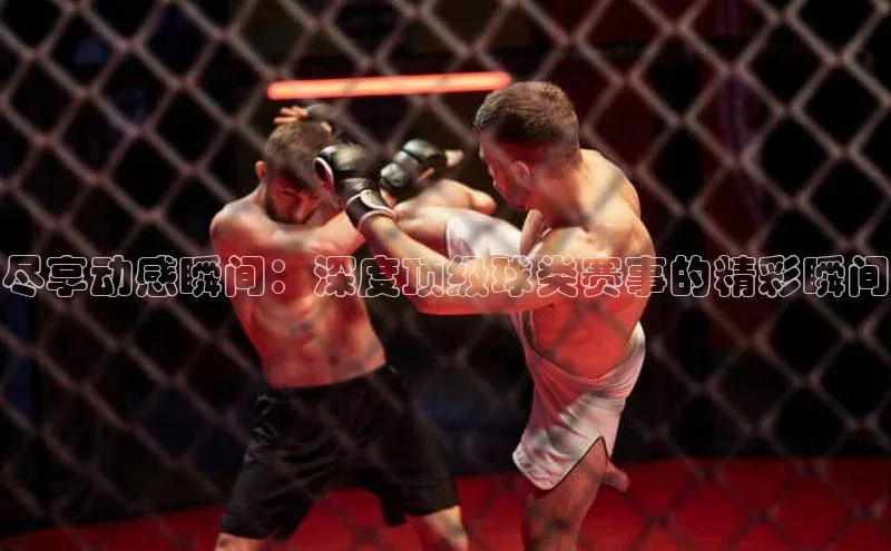 尽享动感瞬间：深度顶级球类赛事的精彩瞬间
