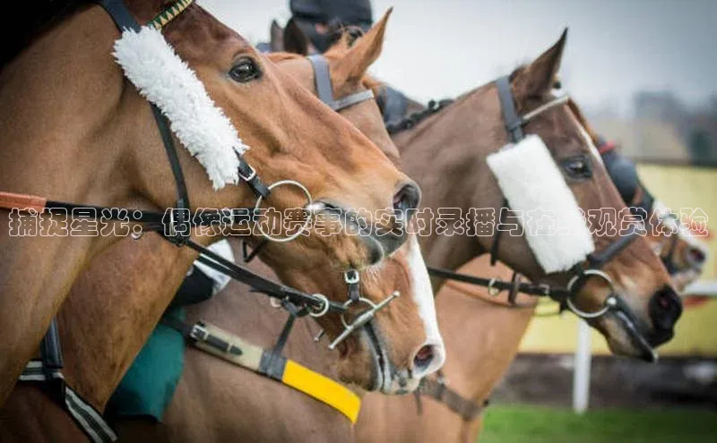 捕捉星光：偶像运动赛事的实时录播与在线观赏体验