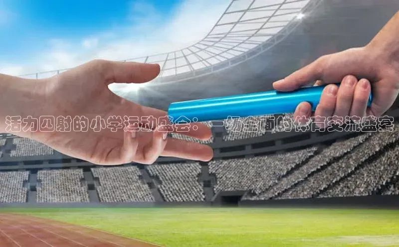 活力四射的小学运动盛会：一场全面的体育交流盛宴