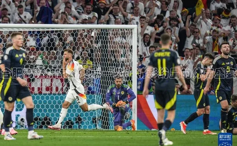 合肥高规格运动赛事一览：精彩纷呈的体育盛宴