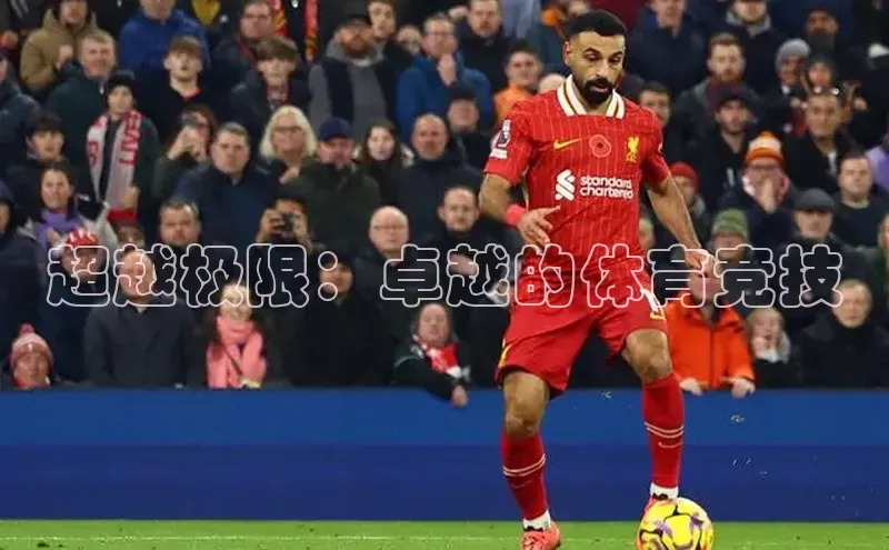 超越极限：卓越的体育竞技