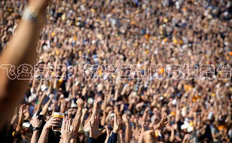 飞盘竞速：新兴运动的竞技舞台