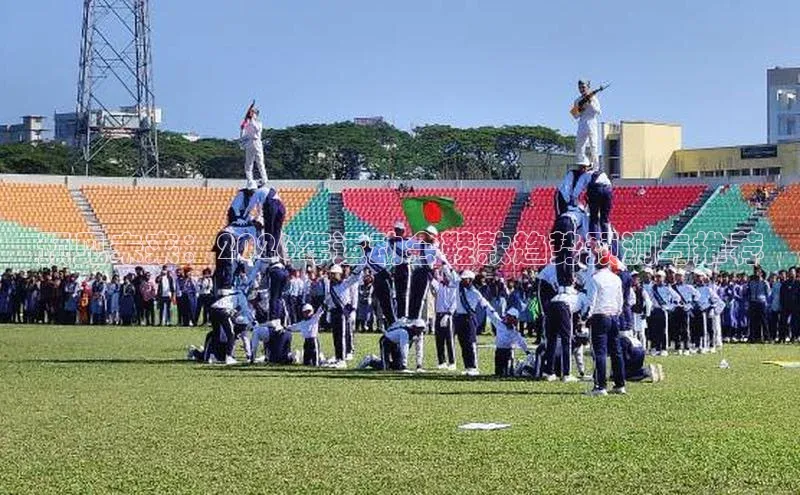 预见未来：2026年运动会鞋款趋势预测与推荐